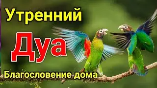 утренний дуа. дуа каждое утро