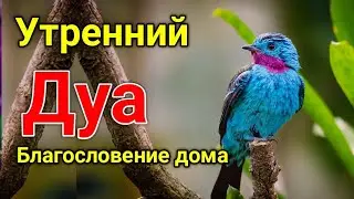 утренний дуа. дуа каждое утро