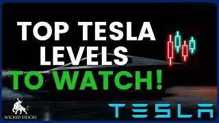 Tesla Stock Price Analysis | Top Levels To Watch for Thursday, September 12th, 2024