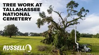 Cleaning Up Storm Damaged Trees at Tallahassee National Cemetery!