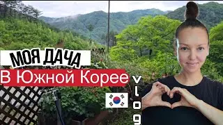 Моя дача отнимает всё свободное время ^^ KOREA VLOG