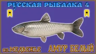 РР4 МЕДВЕЖЬЕ ТРОФЕЙНЫЙ АМУР / РУССКАЯ РЫБАЛКА 4 ТРОФЕЙНЫЙ АМУР / RUSSIAN FISHING 4 TROPHY GRASS CARP