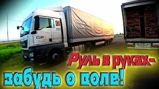 Руль в руках забудь о воле... $1427