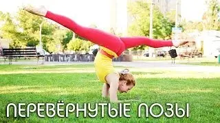 Вечерний комплекс от стресса / ПЕРЕВЁРНУТЫЕ ПОЗЫ / Inversion Yoga Poses