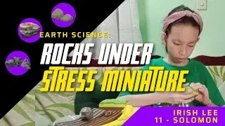 ROCKS UNDER STRESS MINIATURE | IRISH LEE