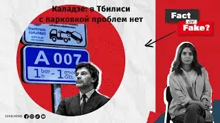 [ФАКТ или ФЕЙК] Каладзе: в Тбилиси с парковкой проблем нет