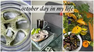 Fall day in my life vlog | Tal B