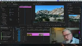 Working with LUTs and New Color Settings in Adobe Premiere Pro v24