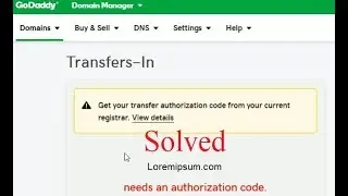 Where to Enter Transaction IDs and Authorization Code, GoDaddy Transfer-in