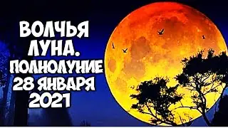 Полнолуние 28 Января. Волчья Луна. Что Нельзя категорически делать в полнолуние