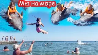 VLOG Плаваем с дельфинами. Купаемся в море