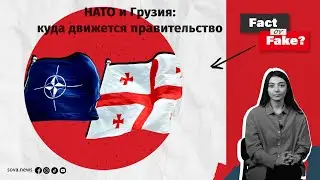 [ФАКТ ИЛИ ФЕЙК] НАТО и Грузия: куда движется правительство