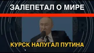 Залепетал о мире: Курщина напугала Путина