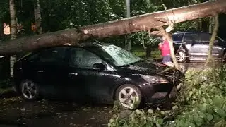 Сильнейший Ураган В Санкт - Петербурге, ДЕРЕВО УПАЛО НА АВТО