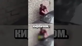 Нашел уютное местечко для сна