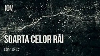 Iov / Soarta celor răi / Rei Abrudan