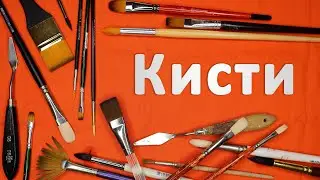 Кисти. Какие кисти нужны для разных красок. На что нужно обращать внимание при покупке