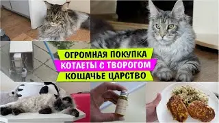 ОГРОМНАЯ Покупка / Котлеты с ТВОРОГОМ / Кошачье царство / Vika Siberia LifeVlog