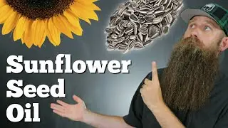 Sunflower Seed Oil [Carrier Oils 101]