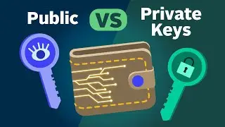 How Public and Private Key Work In Your Crypto Wallets