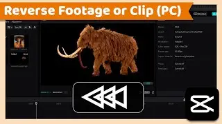 How to Reverse Footage or Clip | CapCut Tutorial (PC)