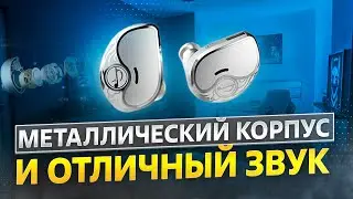 СУПЕР ДЕТАЛИЗАЦИЯ в МЕТАЛЛИЧЕСКОМ КОРПУСЕ - Обзор наушников Zhulinniao Qingluan Z4