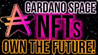 THE FUTURE OF CARDANO NFTS!? - CardanoSpace with a VERY Unique Approach (Cardano Project Intro)