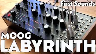 Exploring the Moog Labyrinth | Overview & User Experience | First Sounds