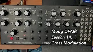 Moog DFAM percussion synthesizer tutorial Lesson 14: Cross Modulation