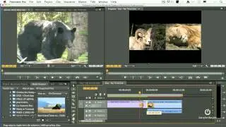 pt 6 of 9 - Quick Start to Editing in Adobe Premiere Pro CS6 - Trimming