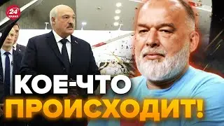 🤡Лукашенко СЛИВАЕТ Путина! / К чему тут ЯДЕРНЫЕ ЗАРЯДЫ? ШЕЙТЕЛЬМАН / @sheitelman