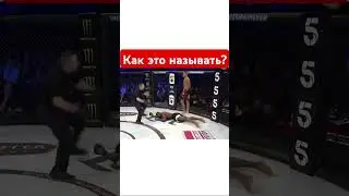 Братва, как этот прием называется? #mma #попмма #профи #нокаут #вертушка #вырубил