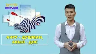 5-7-класс |  Класстык саат | Ачуу-душман,  акыл -дос