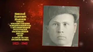 Николай Павлович Шаколов 1923 - 1945