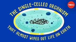 How a single-celled organism almost wiped out life on Earth - Anusuya Willis