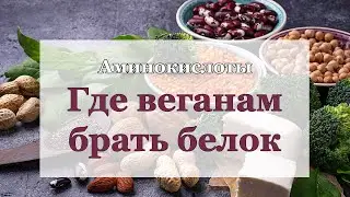 БЕЛОК НА РАСТИТЕЛЬНОМ ПИТАНИИ. Аминокислоты на веганстве