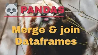 How to merge DataFrames in pandas | Pandas Tutorial for beginners