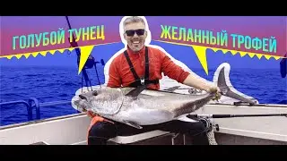 Голубой тунец - желанный трофей!!! // Bluefin tuna is a coveted trophy!!! //クロマグロ // 참다랑어