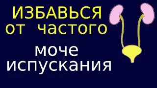 Частое мочеиспускание. Как избавиться в домашних условиях