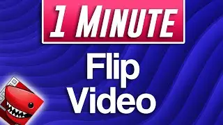 Lightworks : How to Flip Video Clip