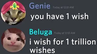 If Beluga Has One Wish...