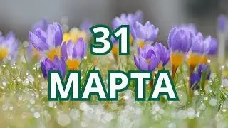 31 марта День бэкапа и другие праздники