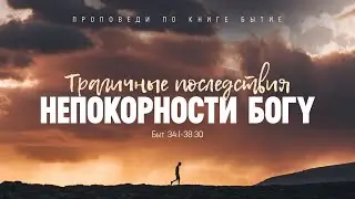 Бытие: 57. Трагичные последствия непокорности Богу (Алексей Коломийцев)