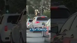 Мерседес научили танцевать