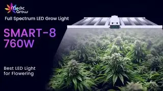 Boost Your Bloom with Smart-8: The Ideal LED Grow Light for Flowering 🌸✨