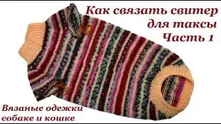 10 Как связать свитер для таксы. Часть 1