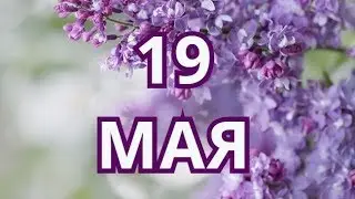 19 мая День пионерии и другие праздники