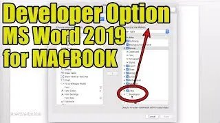 How to Enable Developer Option for Macbook in MS Word 2019