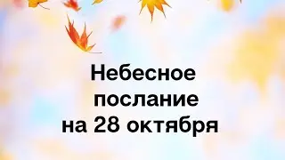 Волшебное послание на 28 октября. Радость жизни.