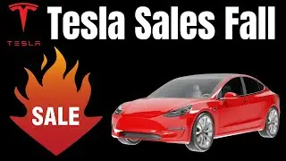 Tesla sales fall || Tesla Sales Drop Down || Tesla Sales Down in Market